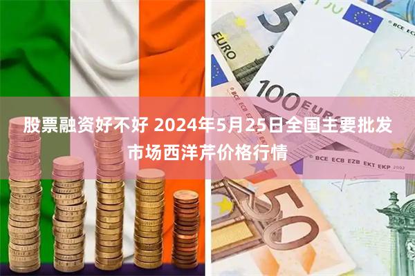 股票融资好不好 2024年5月25日全国主要批发市场西洋芹价格行情