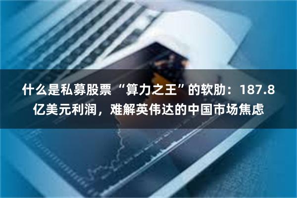 什么是私募股票 “算力之王”的软肋：187.8亿美元利润，难解英伟达的中国市场焦虑