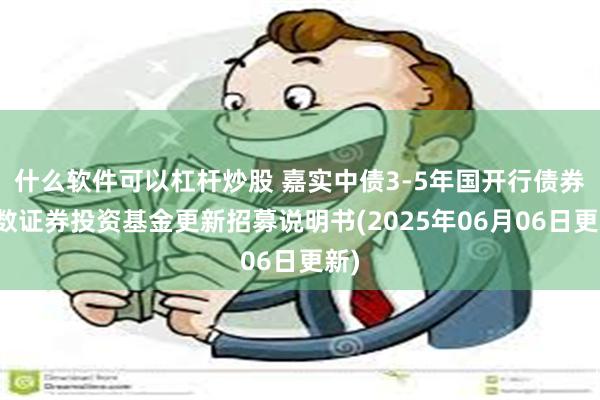 什么软件可以杠杆炒股 嘉实中债3-5年国开行债券指数证券投资基金更新招募说明书(2025年06月06日更新)