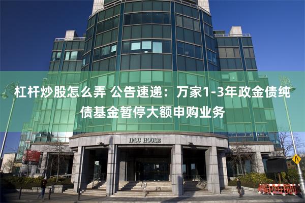 杠杆炒股怎么弄 公告速递：万家1-3年政金债纯债基金暂停大额申购业务